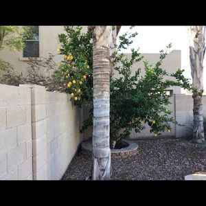 Meet your Posher, Shirley